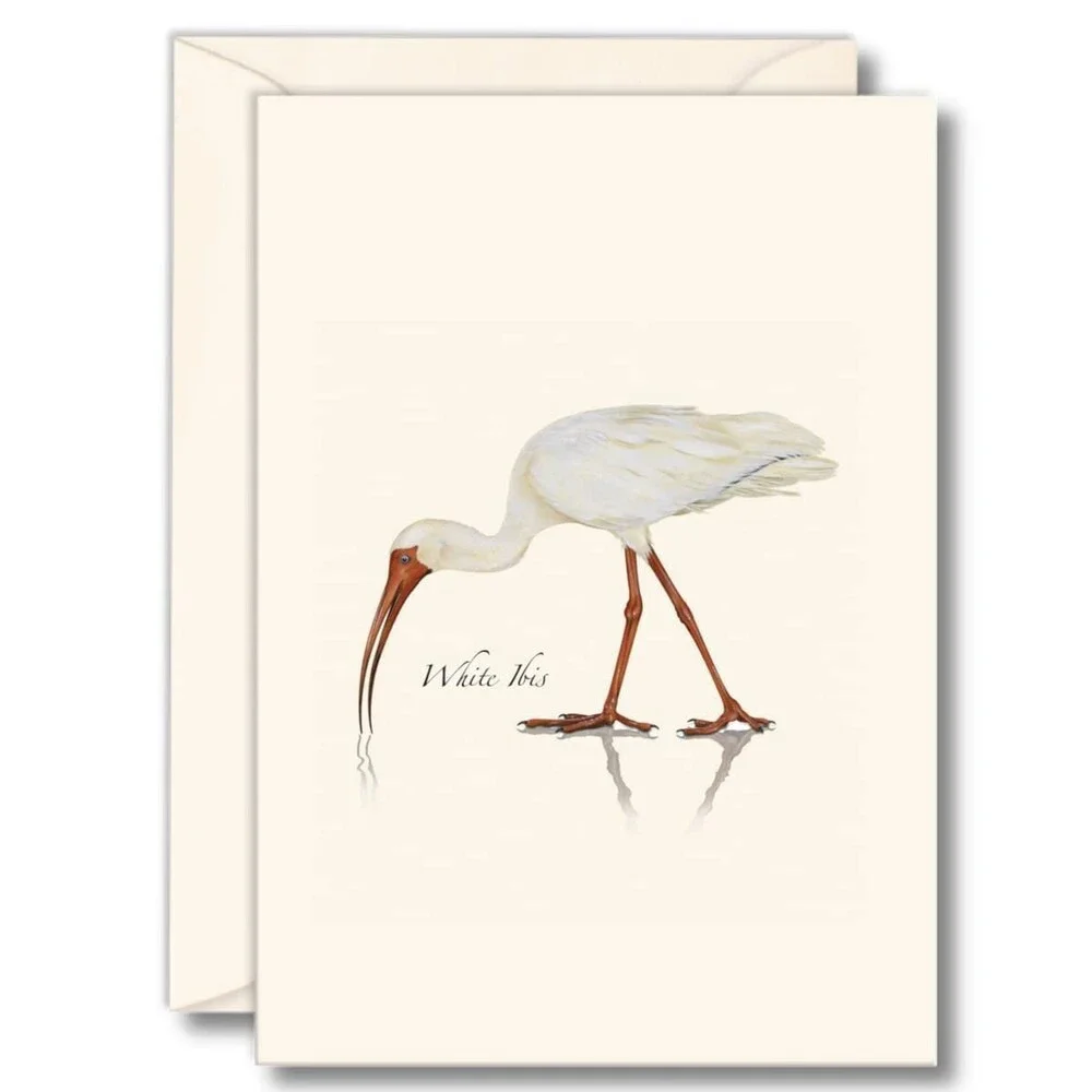Earth Sky + Water - White Ibis Notecard Set - 8 Blank Cards with Envelopes